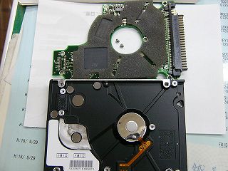 P1000320.jpg
