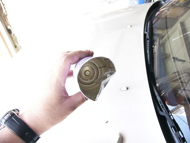 P1010156.jpg
