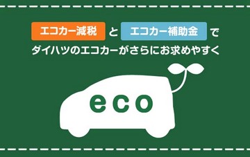 eco_2.jpg
