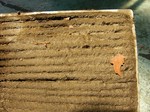s-P1000707.jpg