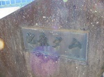 s-P1010128.jpg