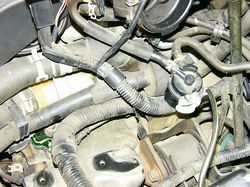 s-P1010324.jpg