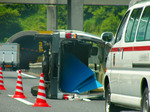 s-P1010541.jpg