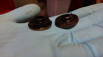 ss-DSC_5619.jpg