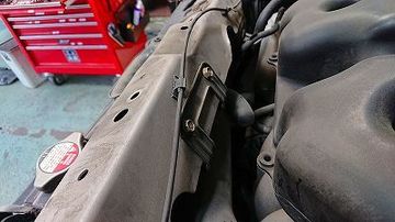 ss-DSC_8974.jpg