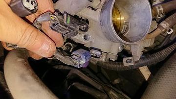 ss-DSC_8980.jpg