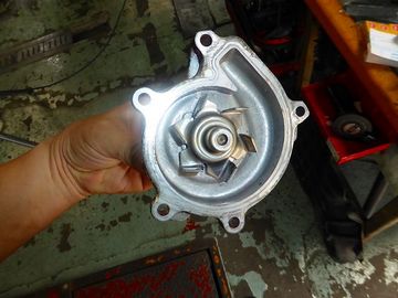 ss-P1000206.jpg