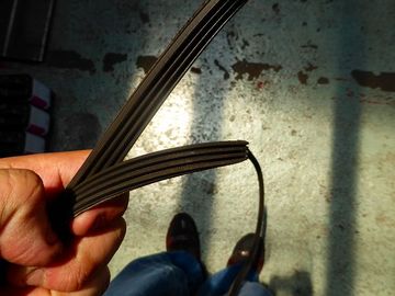 ss-P1000208.jpg