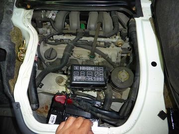 ss-P1000209.jpg