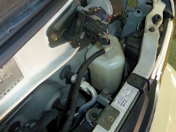 ss-P1000213.jpg