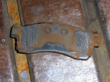ss-P1000338.jpg