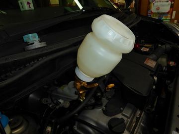 ss-P1000358.jpg