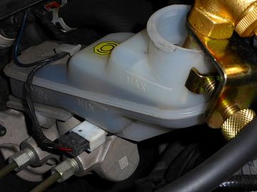 ss-P1000359.jpg