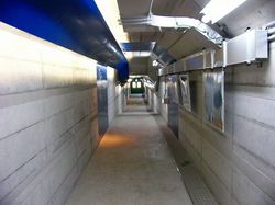 ss-P1000459.jpg