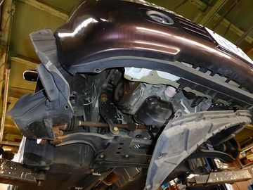 ss-P1000493.jpg