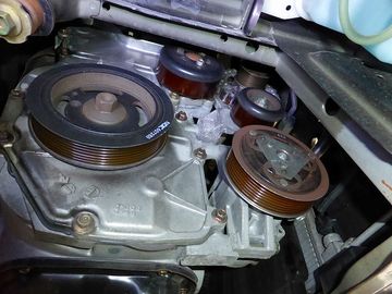 ss-P1000506.jpg
