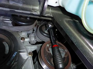 ss-P1000518.jpg