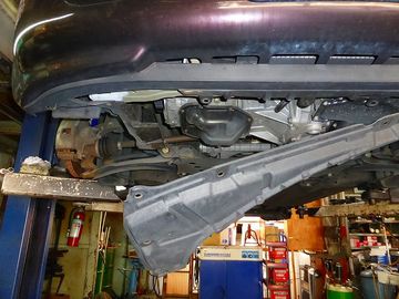 ss-P1000524.jpg