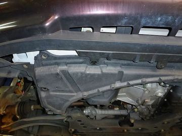 ss-P1000525.jpg