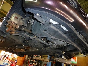 ss-P1000526.jpg