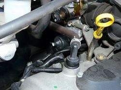 ss-P1000558.jpg