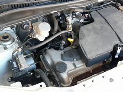 ss-P1000559.jpg