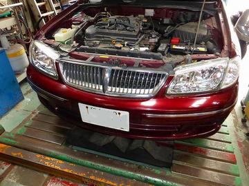 ss-P1000673.jpg