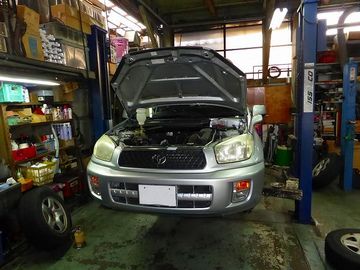 ss-P1000736.jpg