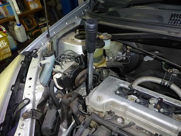 ss-P1000747.jpg