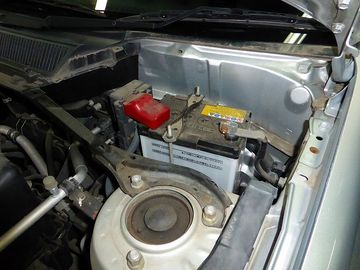 ss-P1000750.jpg