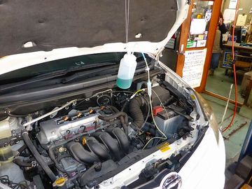 ss-P1000812.jpg