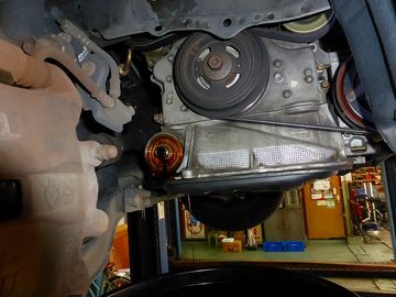 ss-P1000855.jpg