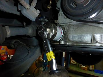 ss-P1000881.jpg