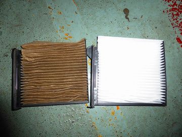 ss-P1000902.jpg