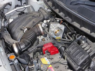 ss-P1000927.jpg
