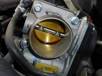 ss-P1000928.jpg