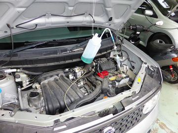 ss-P1000939.jpg