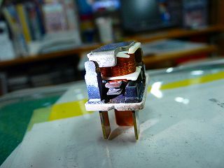 ss-P1010484.jpg
