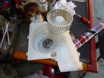 ss-P1020026.jpg