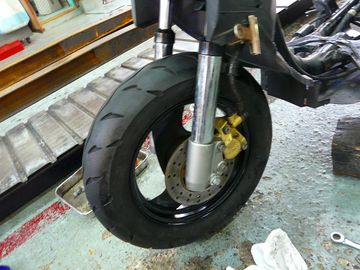 ss-P1020123.jpg