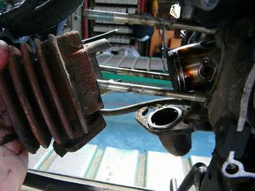 ss-P1020132.jpg