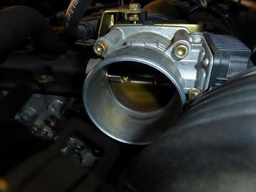 ss-P1020719.jpg