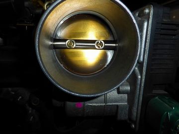 ss-P1020722.jpg
