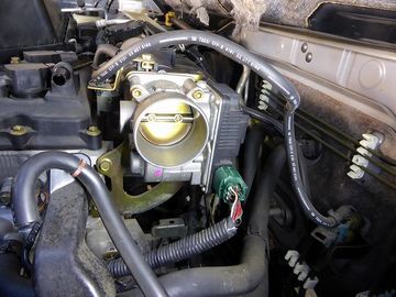 ss-P1020731.jpg