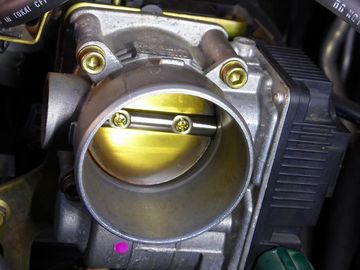 ss-P1020732.jpg