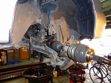 ss-P1020823.jpg