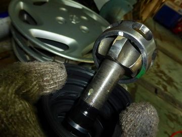 ss-P1020846.jpg