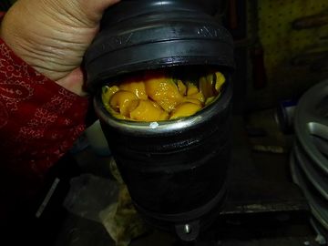 ss-P1020848.jpg