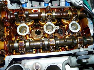 ss-P1030119.jpg
