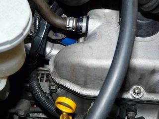 ss-P1030127.jpg